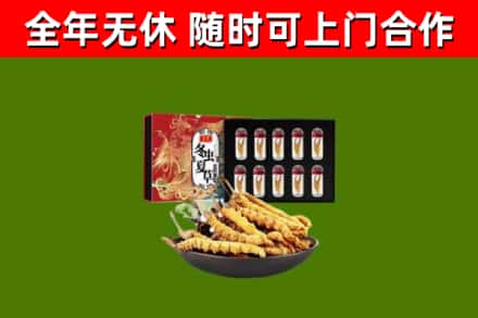 东营市回收冬虫夏草价格
